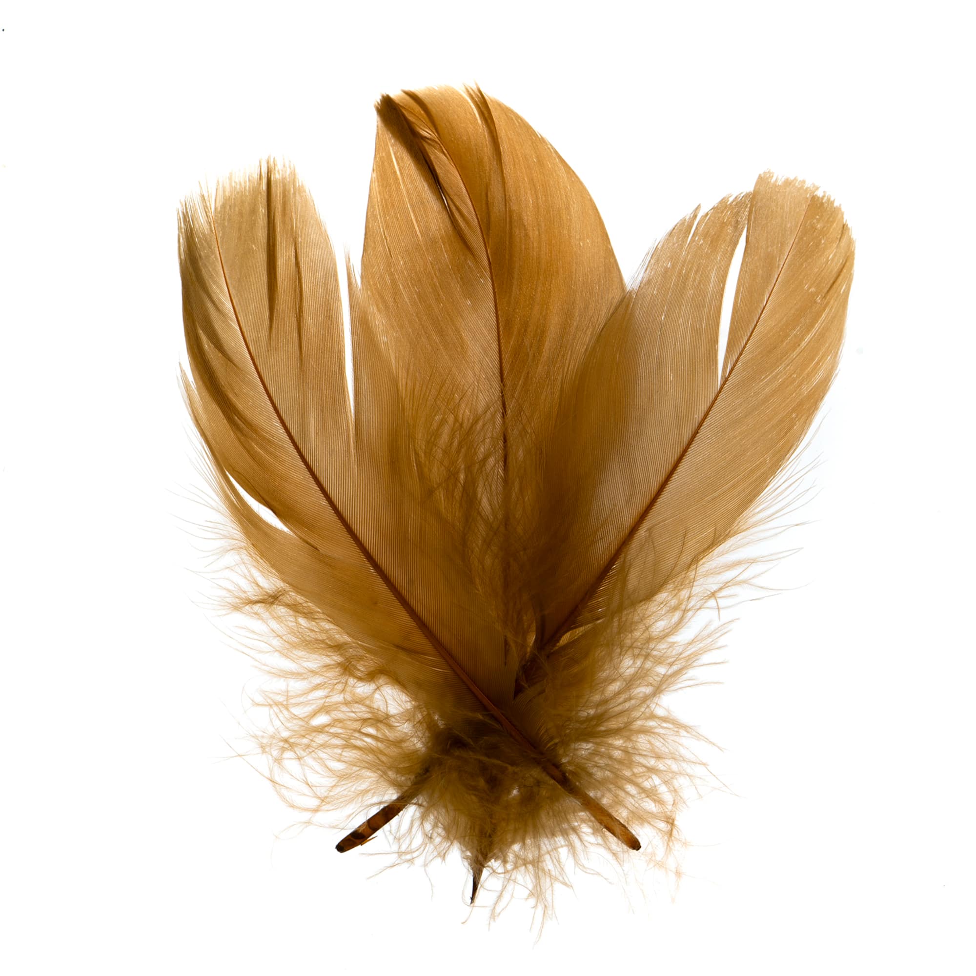 John Bead 5"-7" Goose Feathers